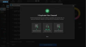 summary of deleted duplicate data