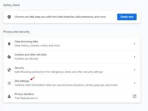 Site Settings Chrome