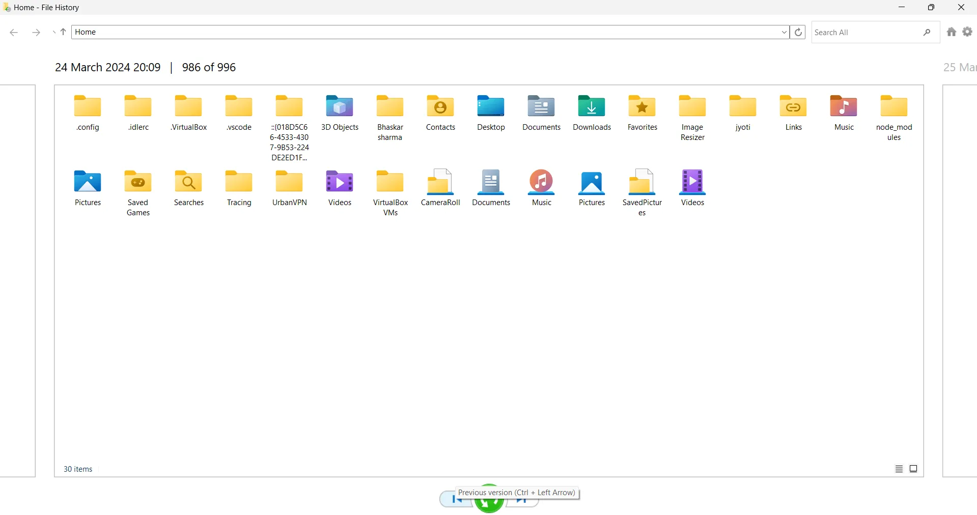 various files in file history