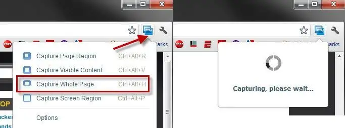 Click the Screen Capture button