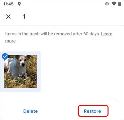 Restoring Deleted Image