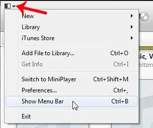 Show Menu Bar option