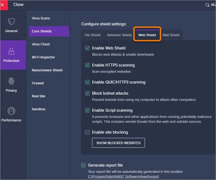 Web Shields option