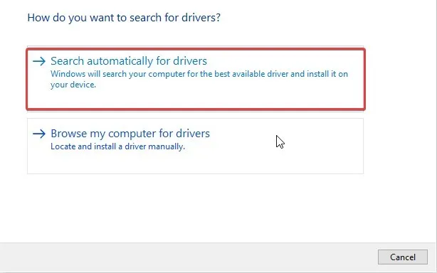 search automaticaly