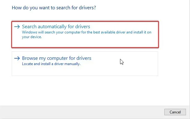 search automaticaly