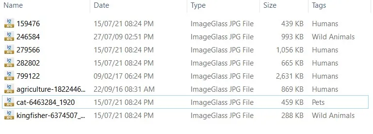 check custmoise folders