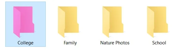 check folder option