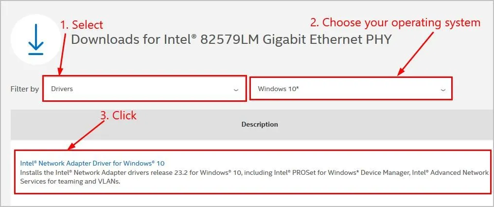 download Intel 82579LM
