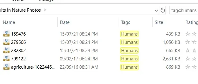 tag options