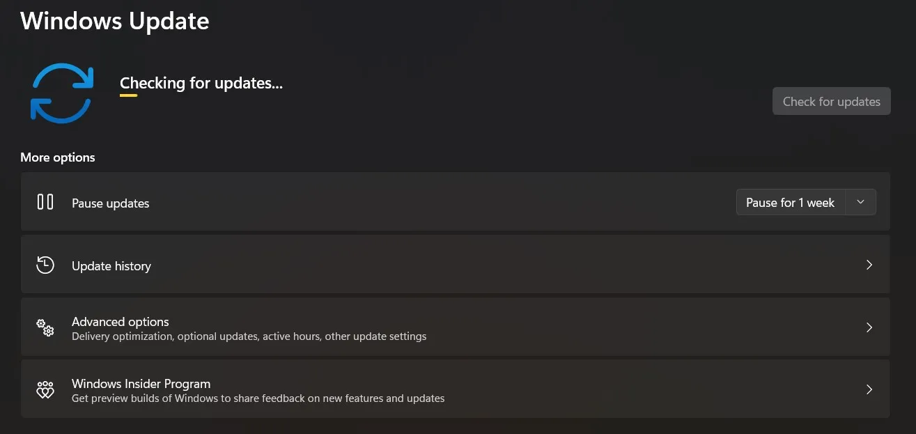 check windows update