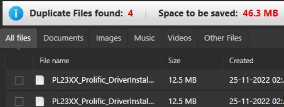 duplicate-file-found