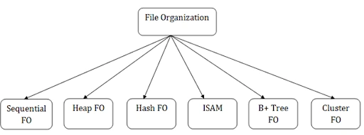 file-organization