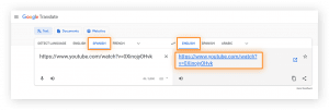 choose language translator