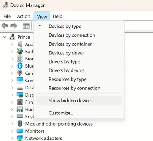 Select Show Hidden Devices