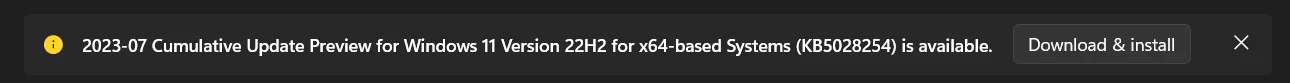 Download-and-Install-option