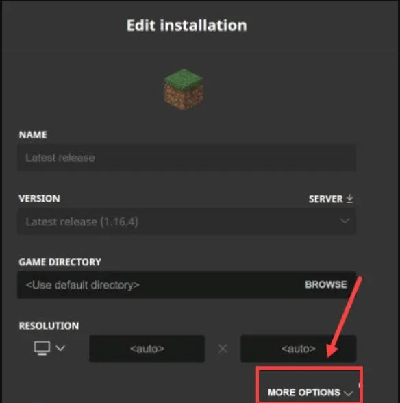 Minecraft_more options