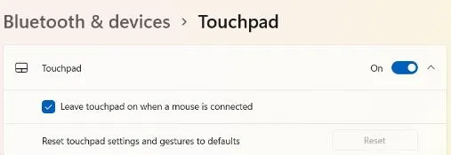 touchpad option