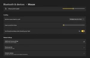Click on Additional mouse settings