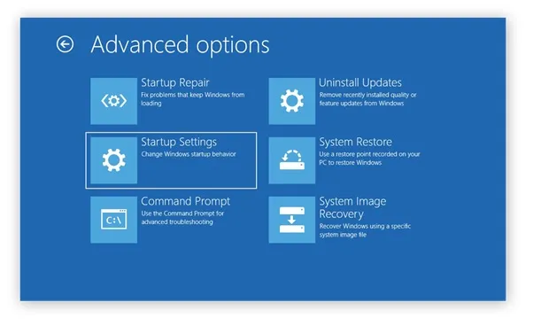 advanced options startup settings