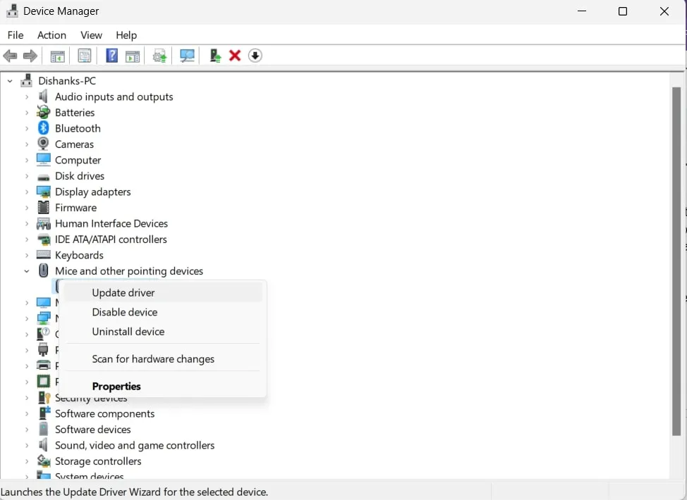 mice and other pointing device - device manager