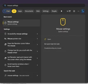search Mouse settings