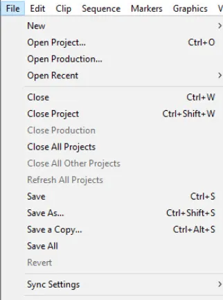 File option in Premiere Pro