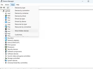 select Show hidden devices in View tab