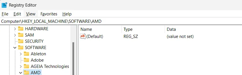 Registry Editor AMD path