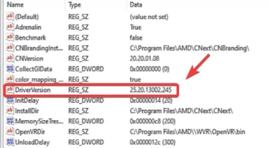 driver version key