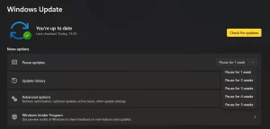 windows update