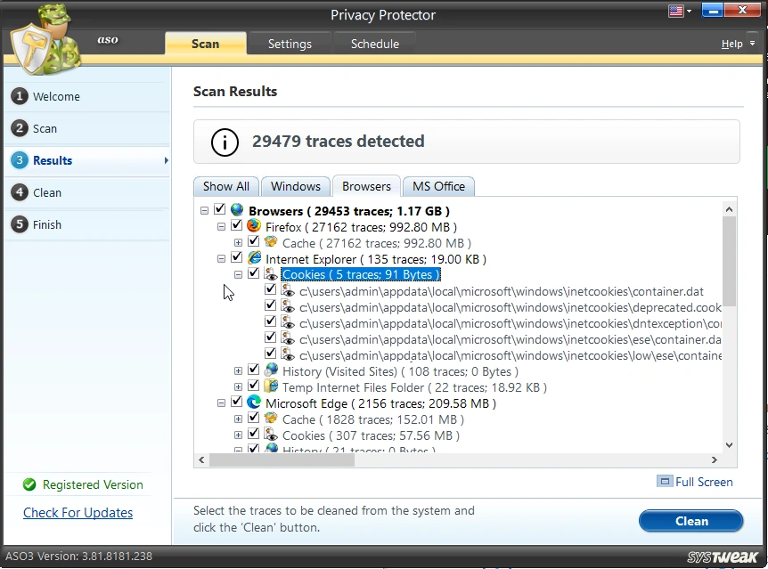 Privacy Protector_scan results_browser tab_
