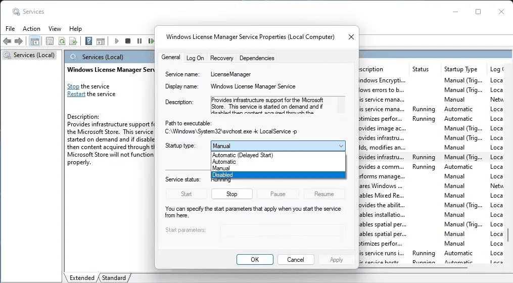 Windows-License-Manager-Service-Properties
