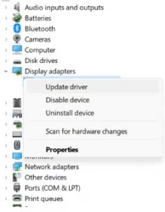 find graphics card under Display Adapter