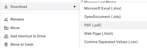 Download Option - Google Drive