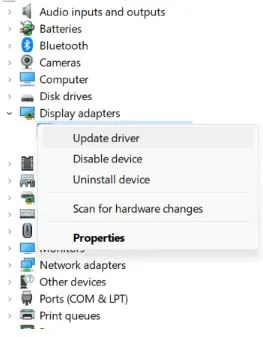 Display Adapter