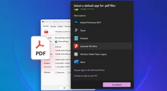 How To Change Default PDF Viewer