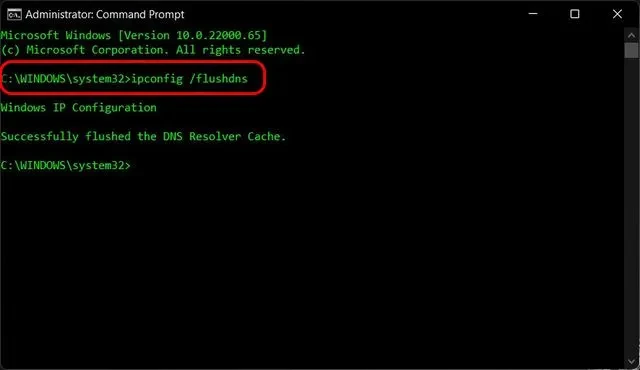 Successfully flushed the DNS Resolver Cache
