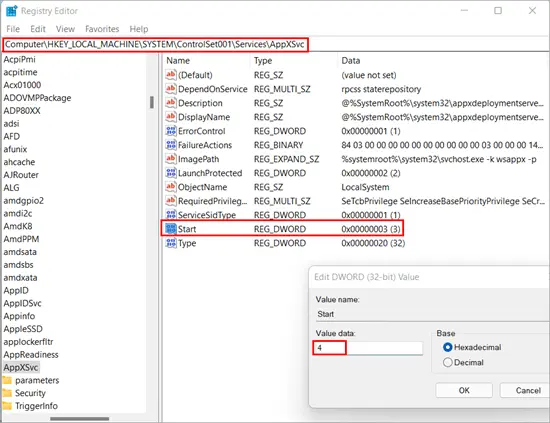 AppXSvc path
