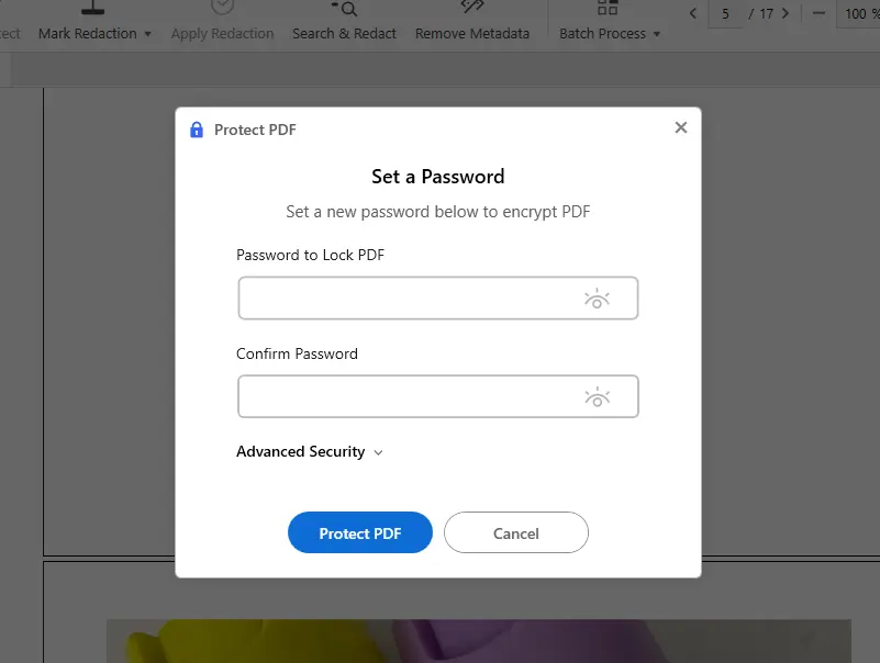protect pdf