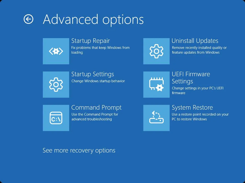 Advanced Options