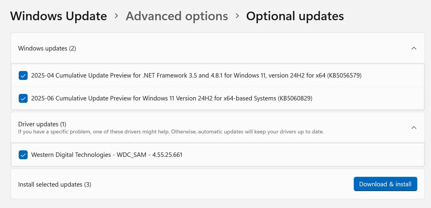Download & Install button