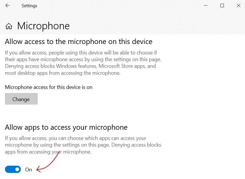 microphone