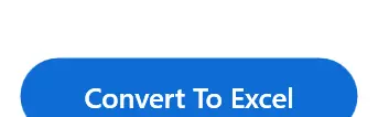 Convert to Excel