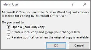 File in use