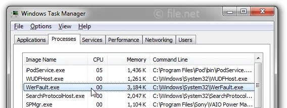 WerFault.exe Process