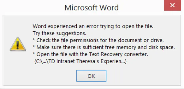experienced an error trying to open the file