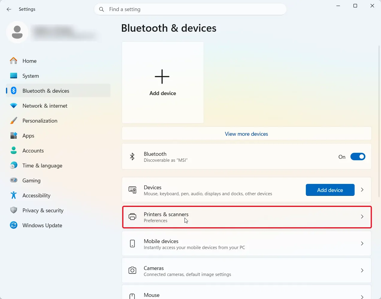 printer and scanner option
