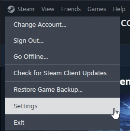 steam setting option
