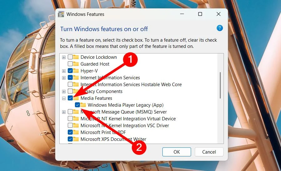 Media Features and Windows Media Player box