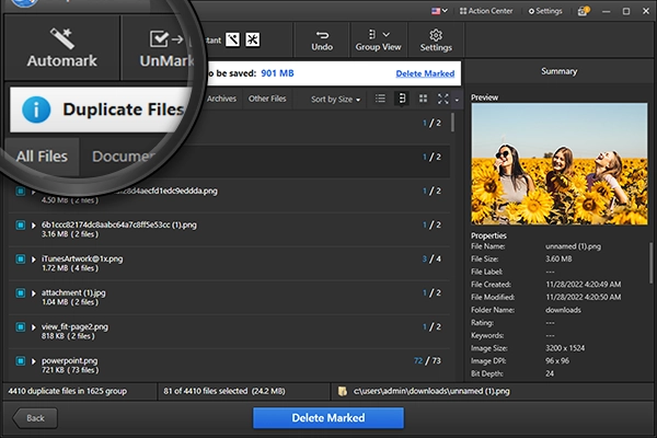 Preview results and Delete Duplicate Files